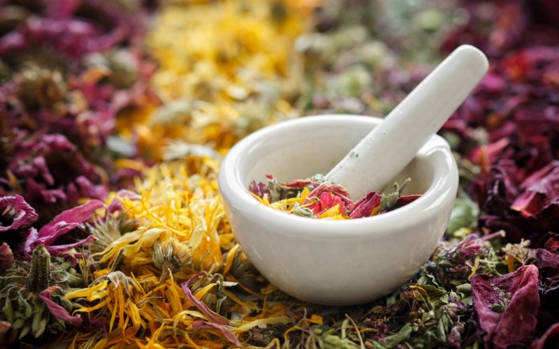 Cấu tạo của tủ sấy dược liệu 